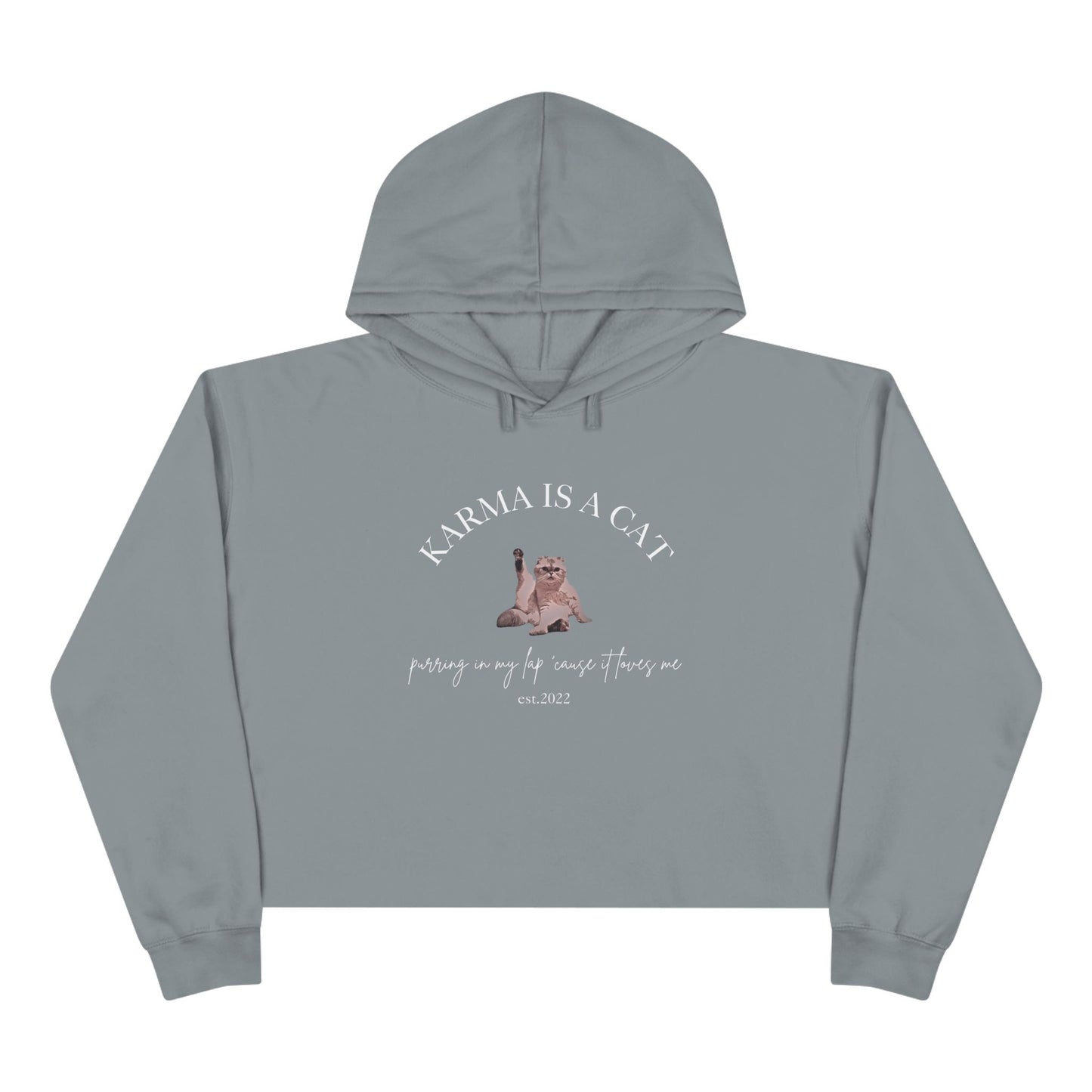 Karma is a Cat - TS Midnights, est. 2022