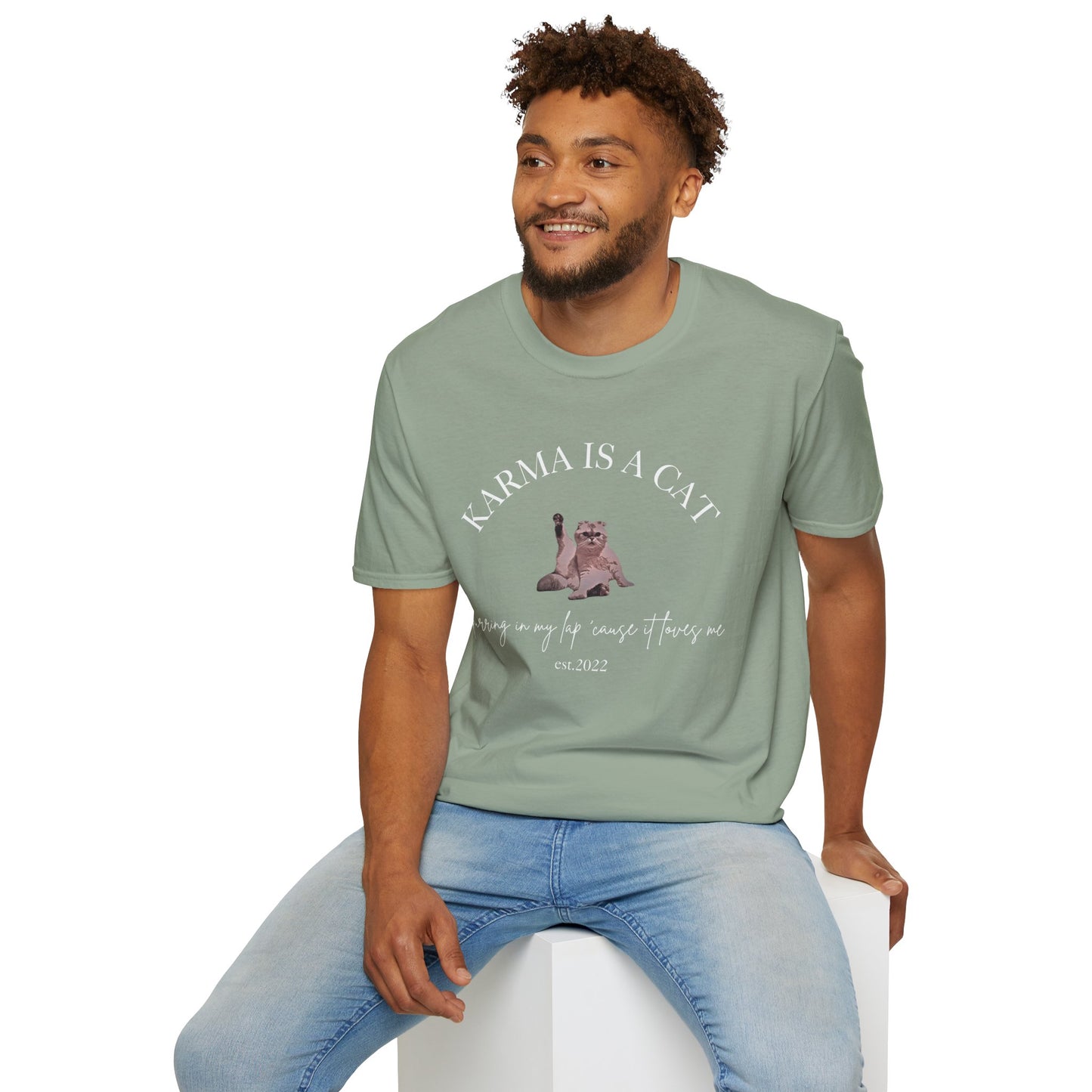 Karma is a Cat - TS Midnights, est. 2022, Tee