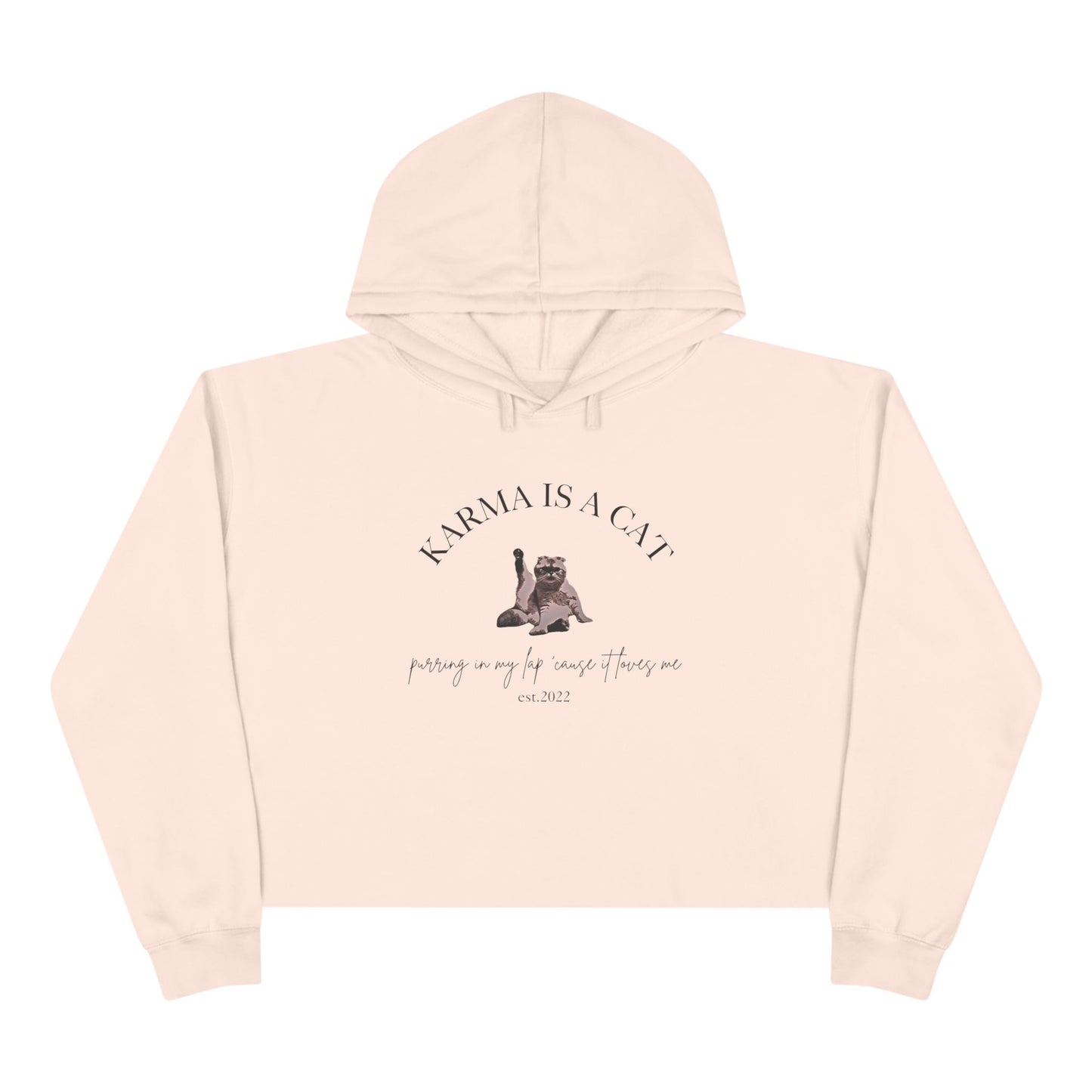 Karma is a Cat - TS Midnights, est. 2022