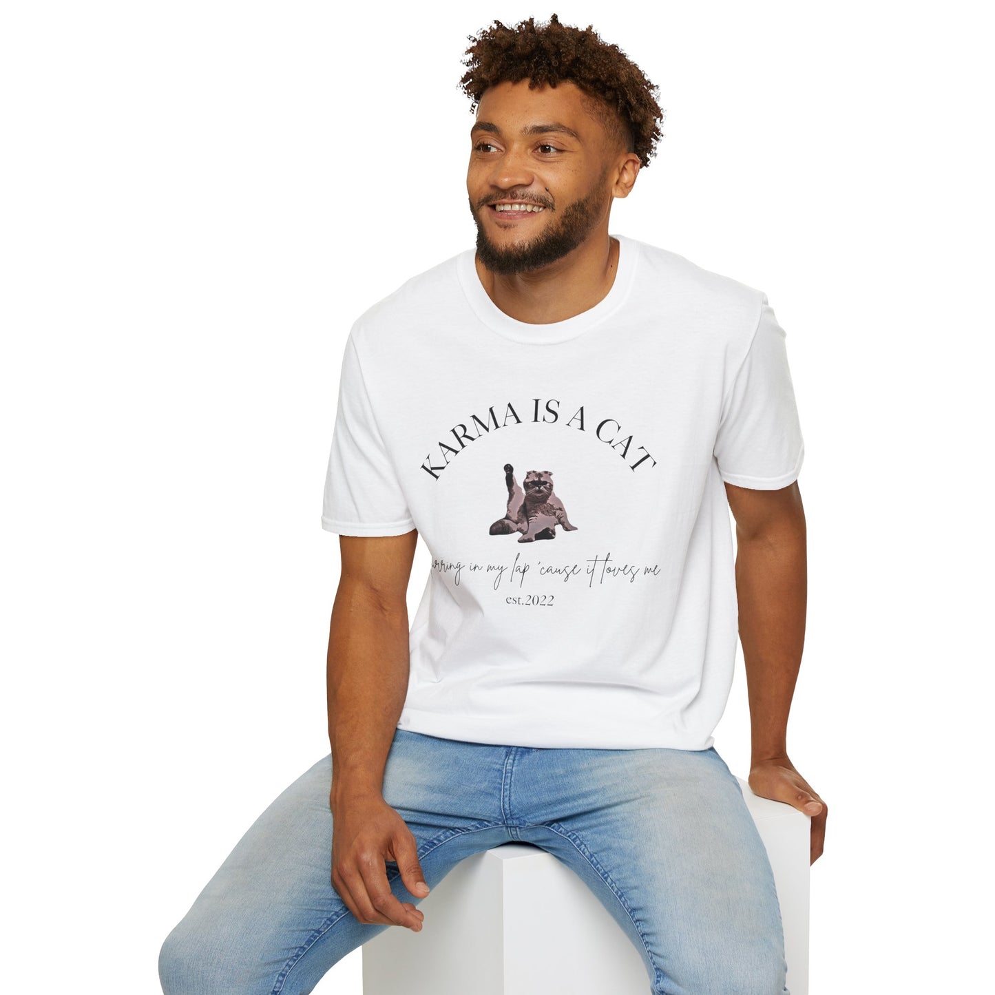 Karma is a Cat - TS Midnights, est. 2022, Tee