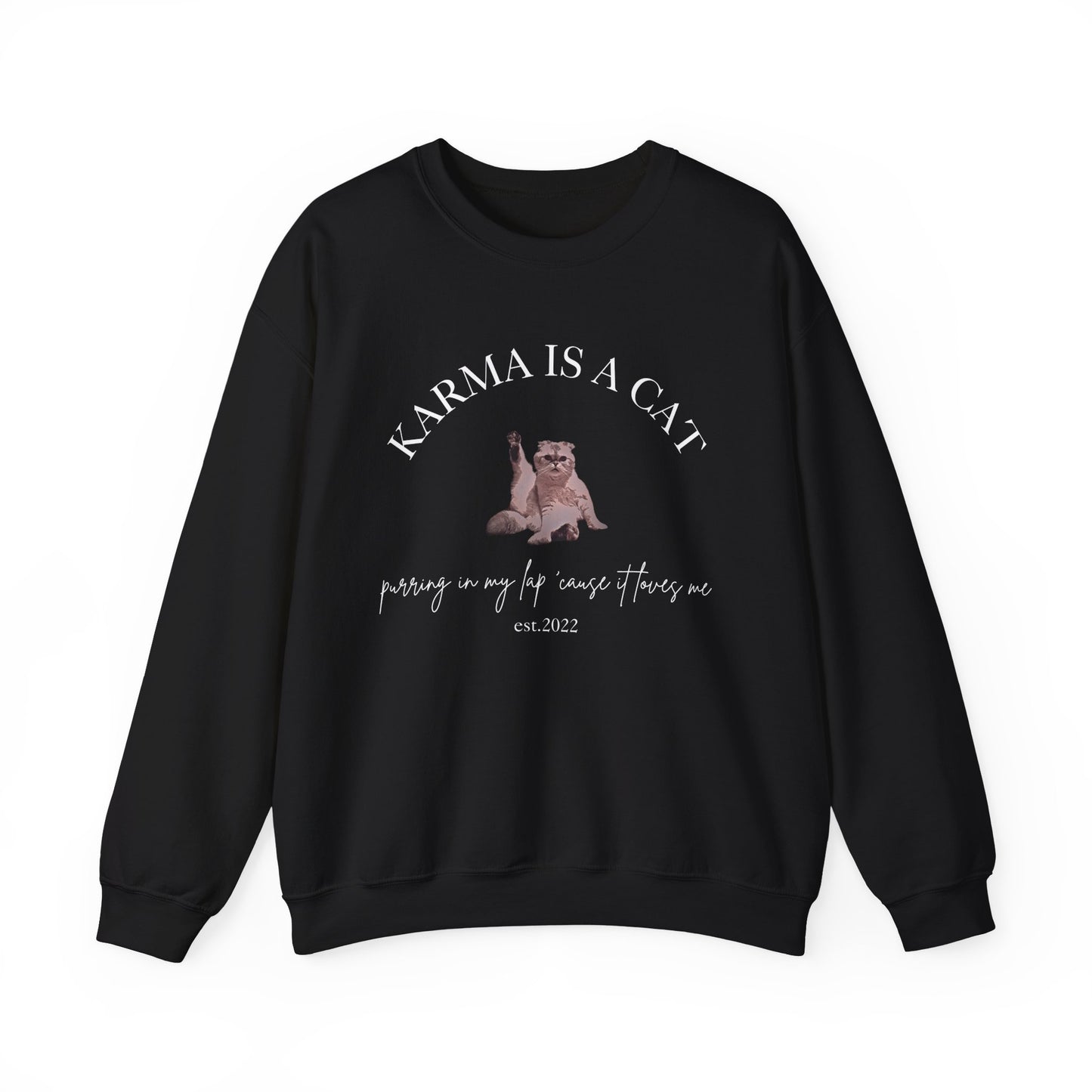 Karma is a Cat - TS Midnights, est. 2022, Sweatshirt