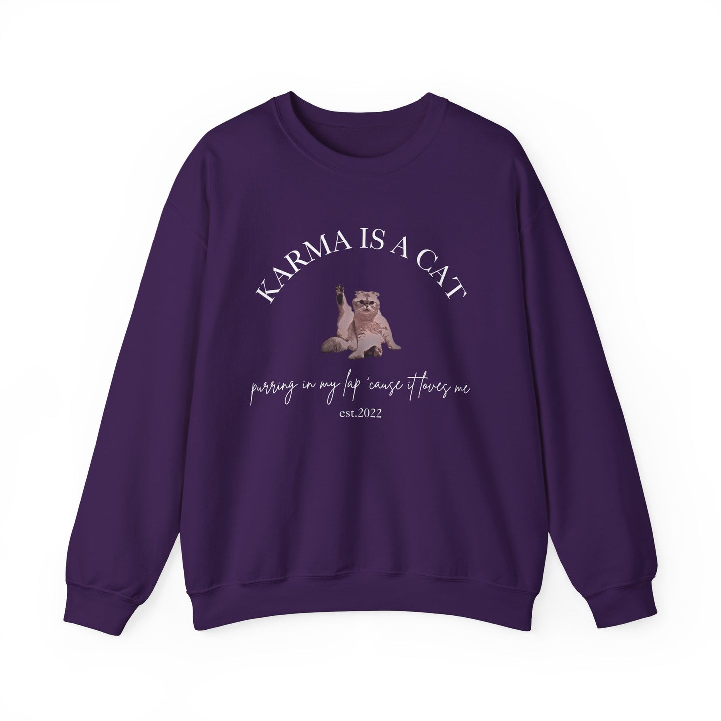 Karma is a Cat - TS Midnights, est. 2022, Sweatshirt