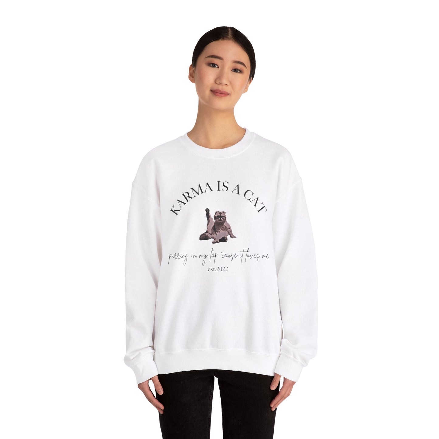 Karma is a Cat - TS Midnights, est. 2022, Sweatshirt