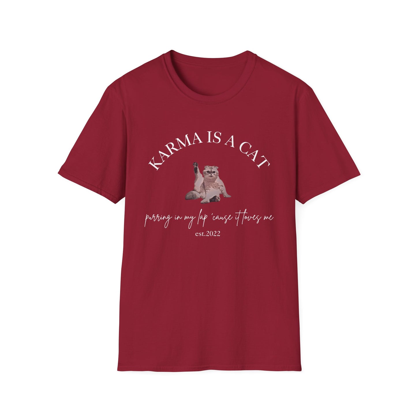 Karma is a Cat - TS Midnights, est. 2022, Tee