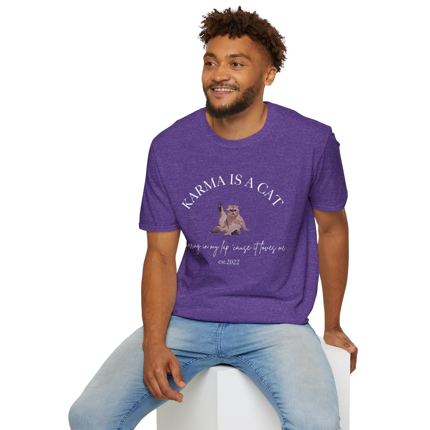 Karma is a Cat - TS Midnights, est. 2022, Tee