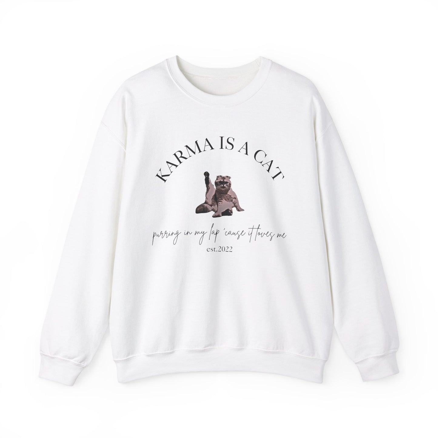 Karma is a Cat - TS Midnights, est. 2022, Sweatshirt