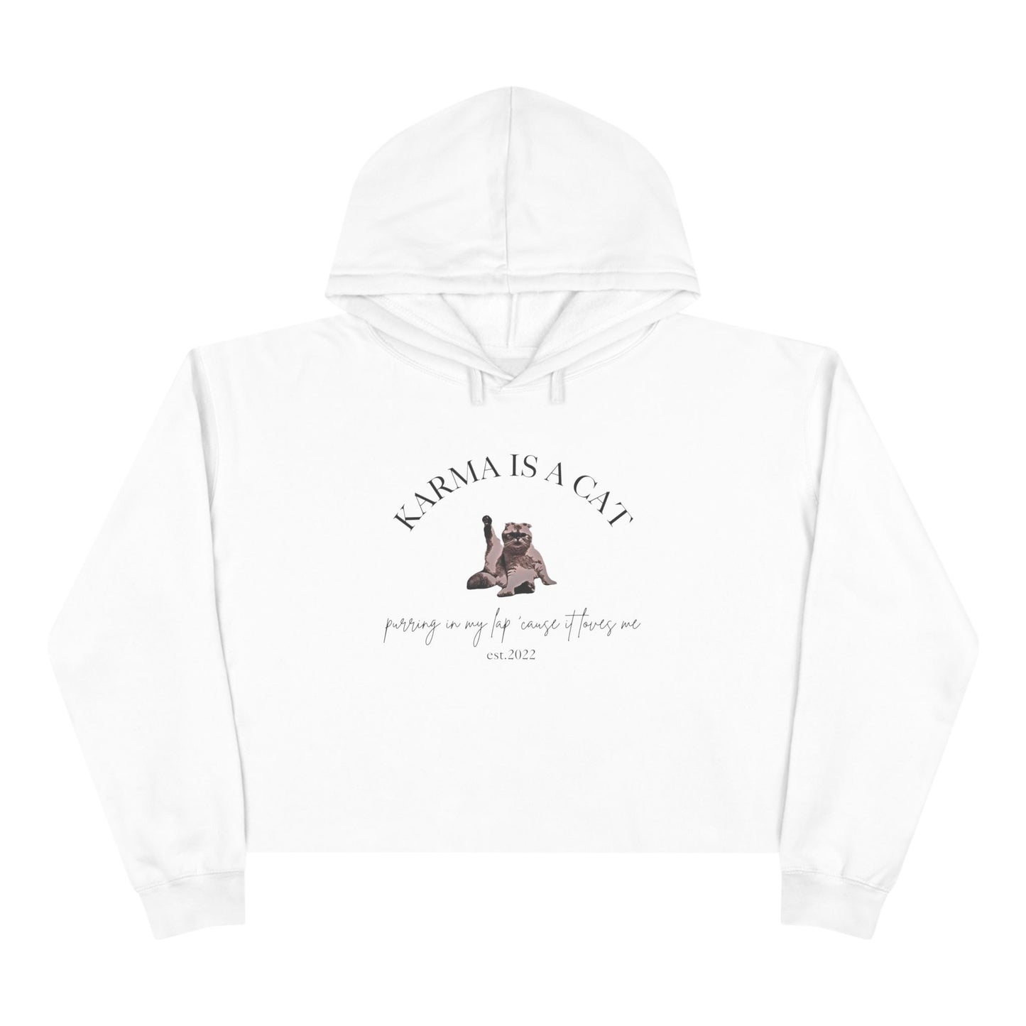 Karma is a Cat - TS Midnights, est. 2022