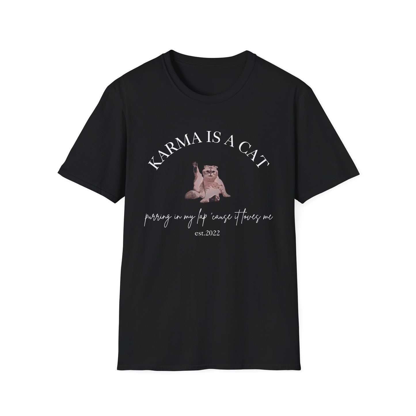 Karma is a Cat - TS Midnights, est. 2022, Tee