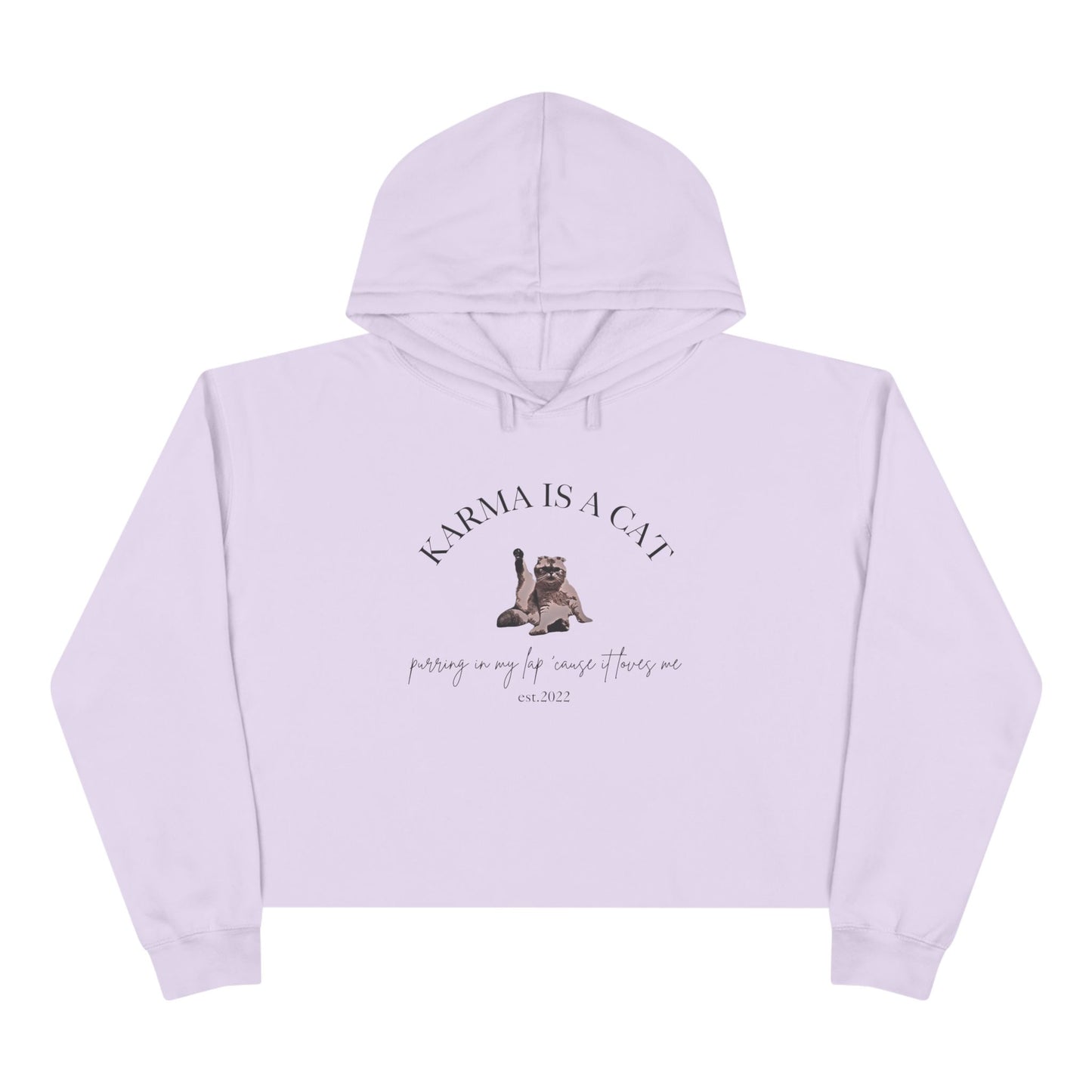 Karma is a Cat - TS Midnights, est. 2022