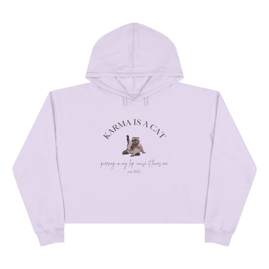 Karma is a Cat - TS Midnights, est. 2022