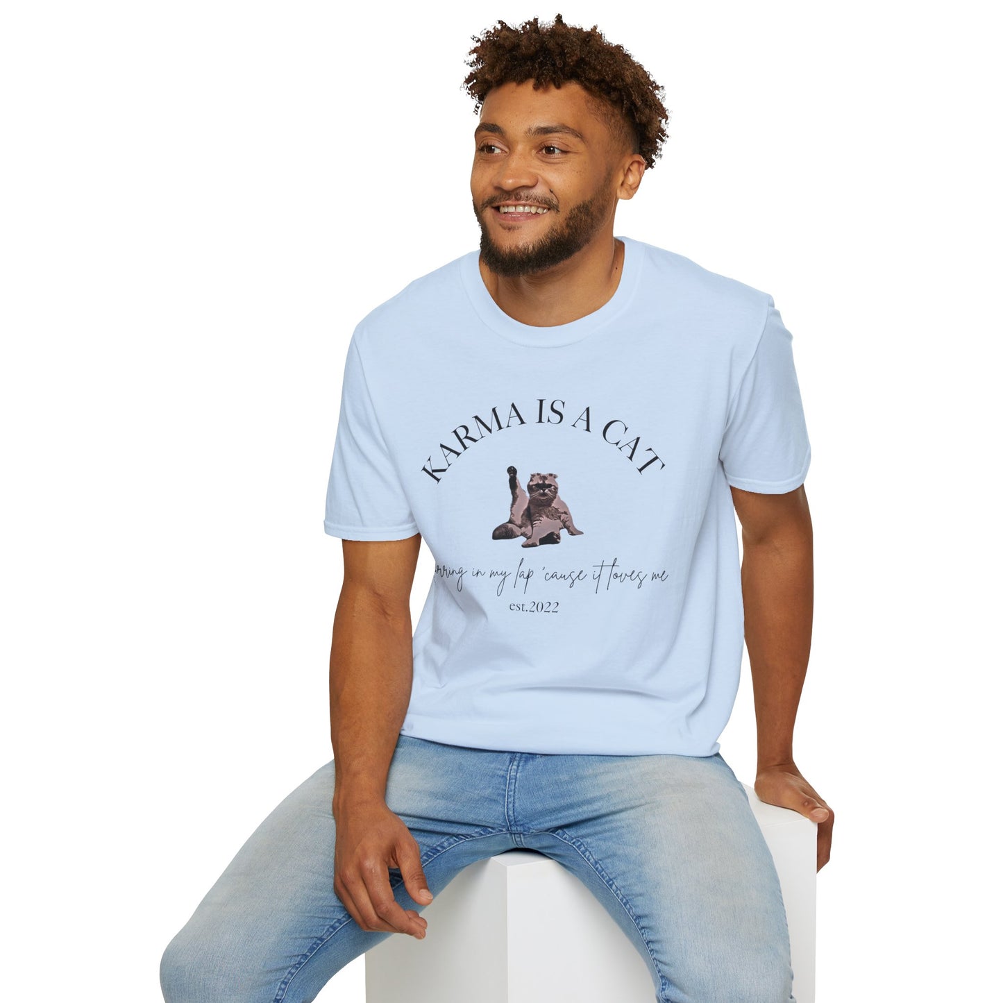 Karma is a Cat - TS Midnights, est. 2022, Tee