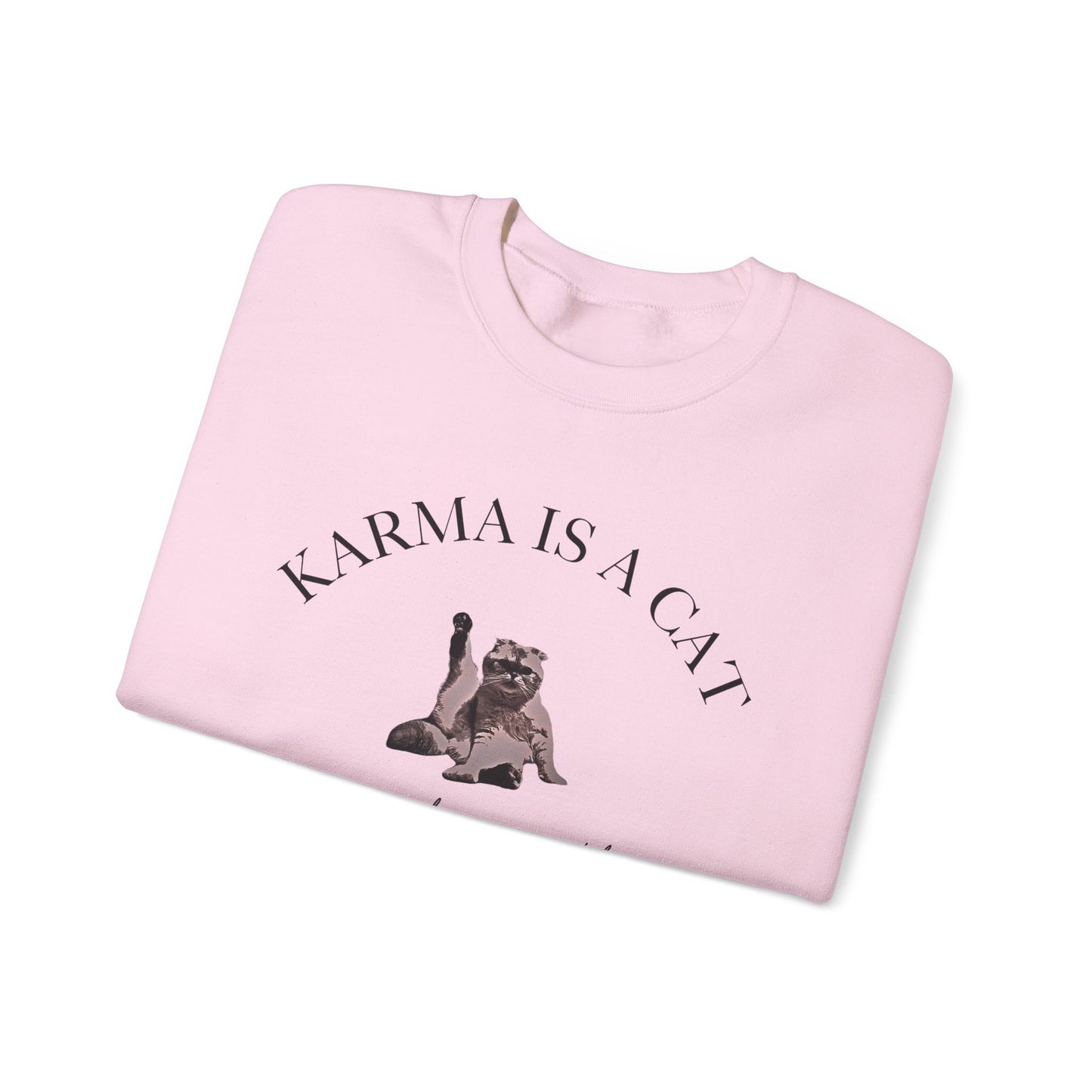 Karma is a Cat - TS Midnights, est. 2022, Sweatshirt