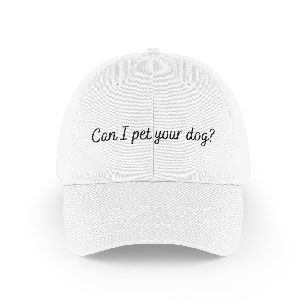 Women's Sonoma Goods For Life® Can I Pet Your Dog? Embroidered Baseball  Cap