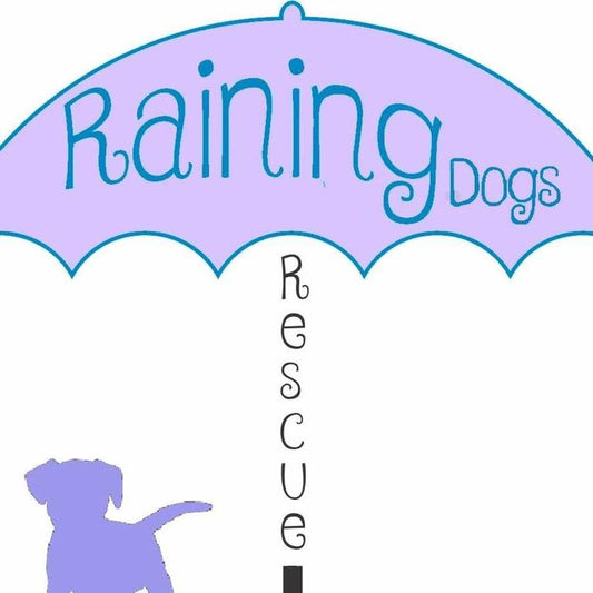 Raining Dogs Rescue - Monthly Animal Shelter Feature