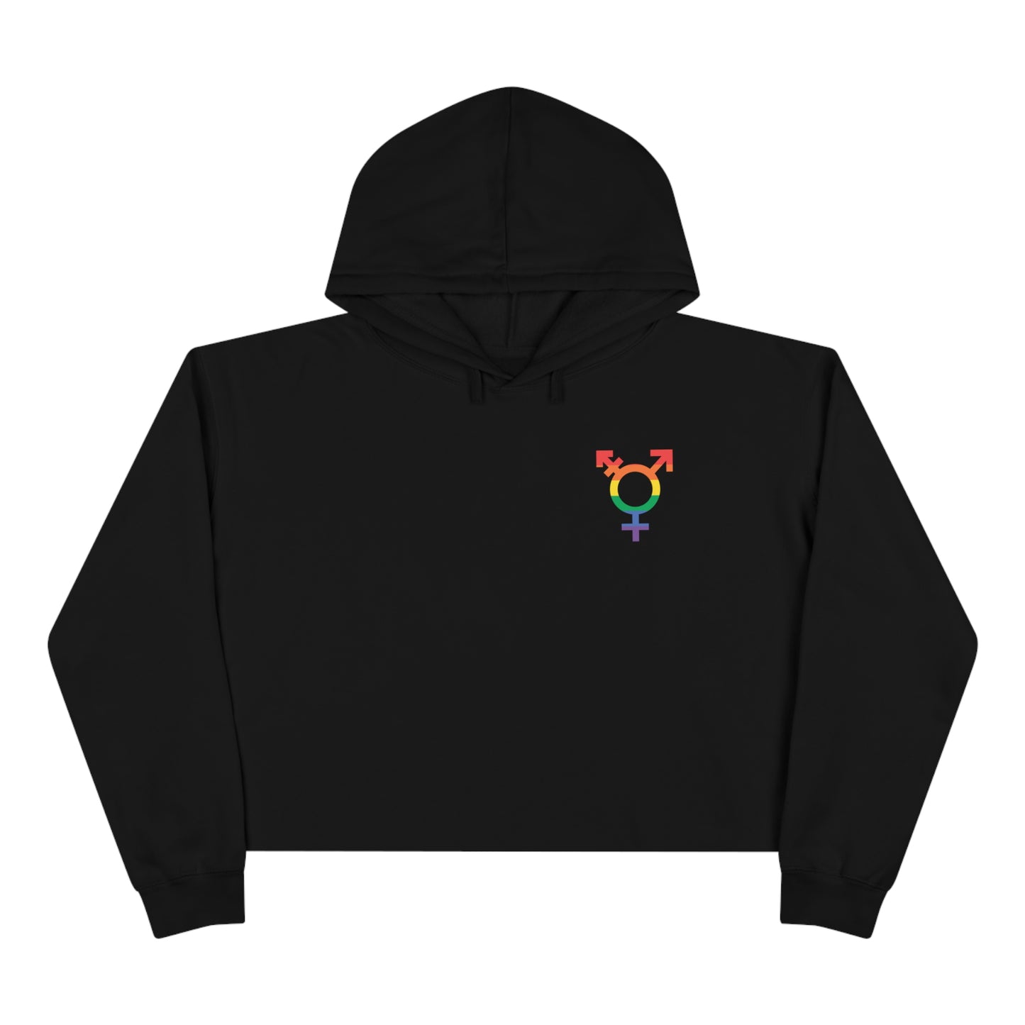 LGBTQ+ Crop Hoodie